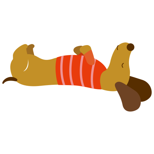 Dachshund